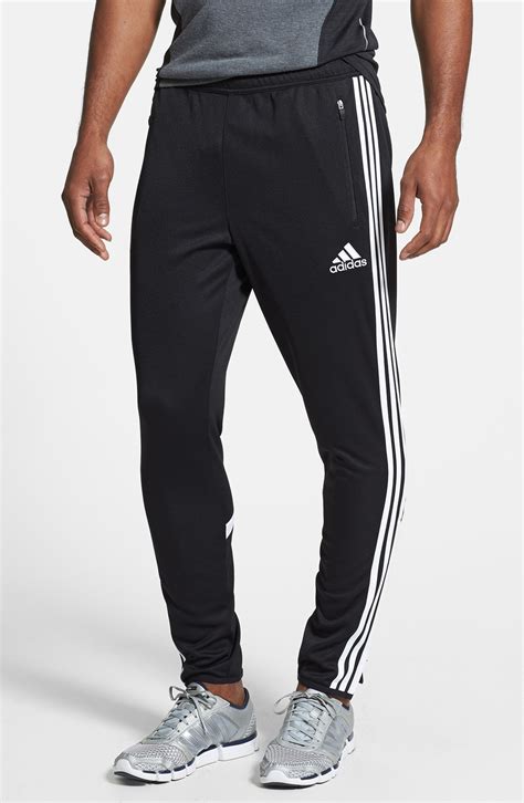 Adidas training pants men's